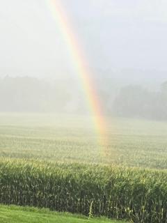 Augustus Lodge Bed & Breakfast - 2