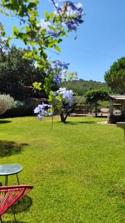 Entre les pins et les oliviers - 3