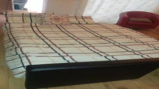 Cozy 1 Bed Apt Sleeps 4 with Garden Views - Hounslow - 1