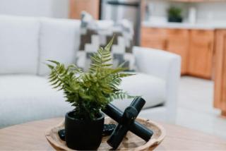 2 Beds, Custom Cabinets, Pet Friendly - 2