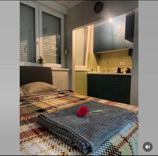 Apartman Sofija - - 9