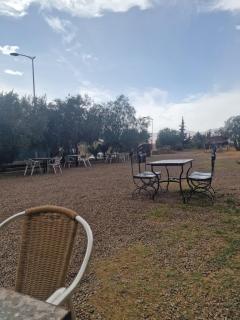 Cafe restaurant - - 3