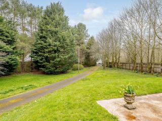 1 Bed in Nantyglo 58304 - Nantyglo - 7