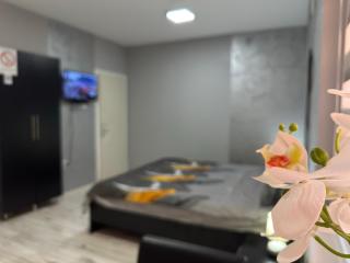 Mitić Apartmani 1 - 8