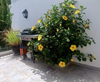 Wonderful private villa near beach with sea views - 4