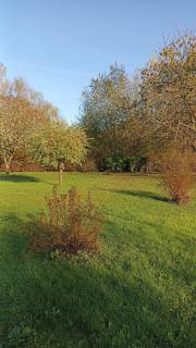 Grande maison avec jardin - Liffol-le-Grand - 4