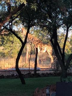 Zwartkloof 111 - - 6