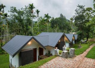 Mystic Trees By Cluster Cloud - Thekkady - 6