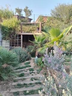 Chambre privée au coeur d'une pinède dans un quartier résidentiel - 4