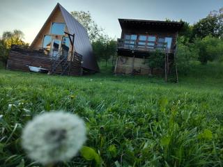 Cabana Alexa Tășnad - Tăşnad - 5