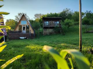 Cabana Alexa Tășnad - Tăşnad - 6