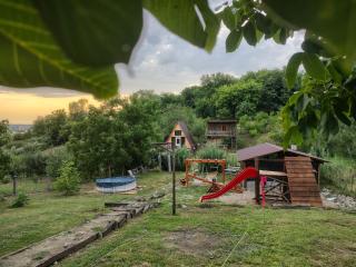 Cabana Alexa Tășnad - Tăşnad - 9