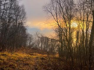 The House by the Sea - Straumsbukta - 7