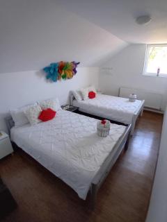 Camere de închiriat Trandafirilor - 9