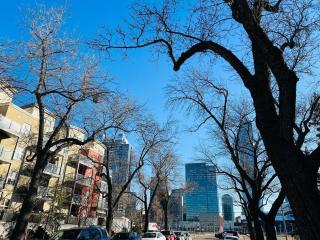 2 Bedroom Downtown YEG 2 minutes walk to rogers - 3
