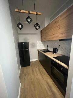 COZY WARSAW APARTMENT with GYM close to the Airport and City Centre - Warsaw - 5