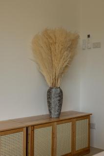 BOHO Boutique Bungalows - 1