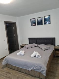 Vila Avram - 1