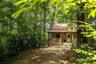 Fall Savings! Fast Wi-Fi! Dog Friendly! - 4