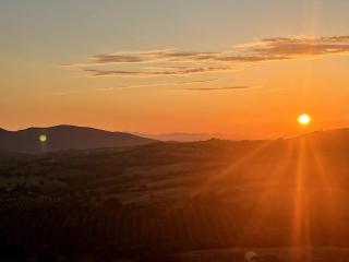 Il Belvedere di Montiano - 6
