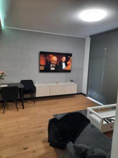 APARTAMENT KOŚCIUSZKi 54 - Toruń - 5