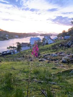 Haraldseidvågen gjestgjevarstad - 8