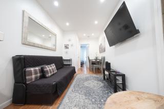 2BR APT near Mount Sinai & Metropolitan Hospitals - 8