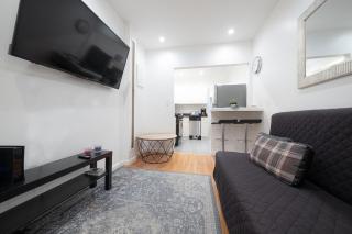 2BR APT near Mount Sinai & Metropolitan Hospitals - 5