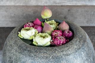 Pomelo Travel Outpost Cambodia ដំណាក់ភ្នំក្រោម - 3