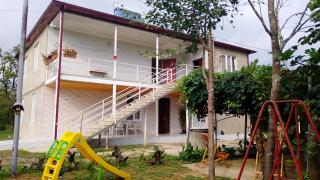 Green Palms-მწვანე პალმები - 9