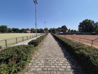 Marjetica 40 - 7