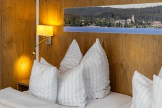 Gästehaus Café Heck Titisee - Titisee-Neustadt - 1