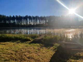 Country peace by the pond- Hidden gem at lake - 5