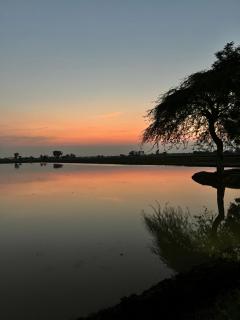 Rana Jee farmhouse - Lahore - 4