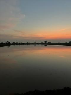Rana Jee farmhouse - Lahore - 3