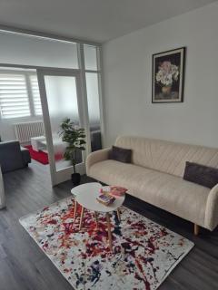 Sarajevo apartman - Sarajevo - 2