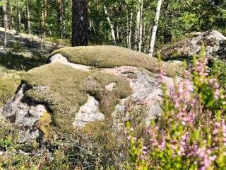 3 person holiday home in ESKILSTUNA-By Traum - Malmköping - 6