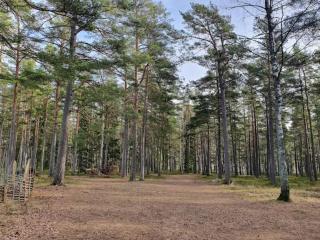 Lakeside Cabin with Panoramic Views - 2