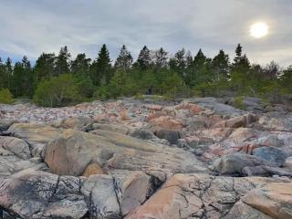 7 person holiday home in GRISSLEHAMN-By Traum - 4