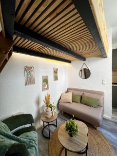 La cabane des Gémeaux - Studio - 8