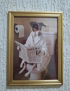 Departamento Belinda - 4