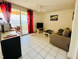 Mitan Caraïbes T2 - 40 m2 - 8