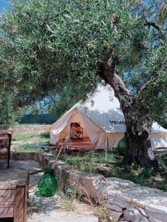 Wishne Glamping Agriturismo in tende Bisceglie - 3
