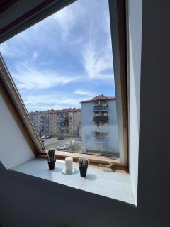 Apartament Culica Września - Września - 4
