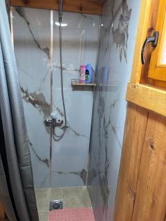 Cottage Bumblebee - 1