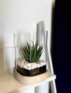 A Private Room with a Private Entrance - Olifantsfontein - 4