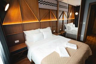 Zlatibor Lux Spa Apartments - 5