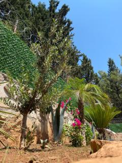 Milagos bungalow - - 3