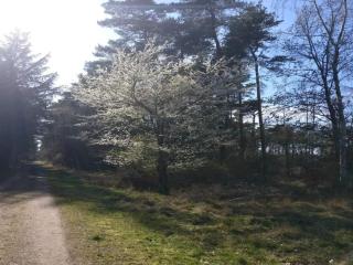 Seaside Serenity in LumsAYs-By Traum - 1