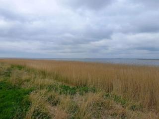 6 person holiday home in Ulfborg-By Traum - 4